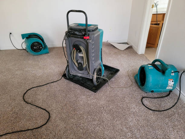 Best Water damage restoration near me  in Golden Hills, CA