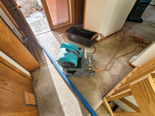 Best Carpet water damage restoration  in Golden Hills, CA