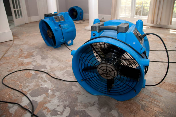 Best Sewage cleanup and water damage restoration  in Golden Hills, CA
