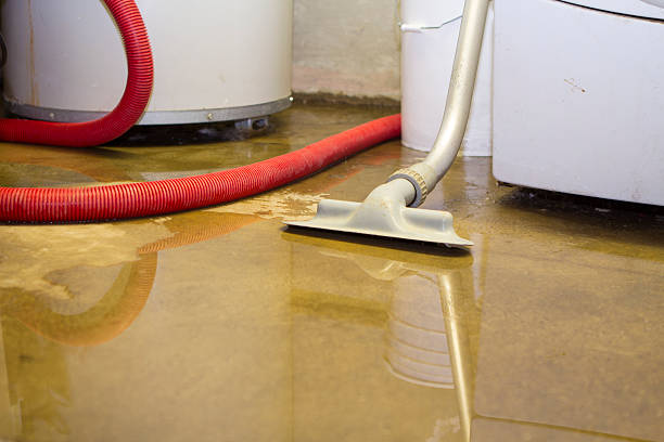 Best Water damage restoration near me  in Golden Hills, CA