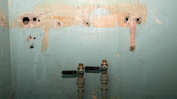 Best Ceiling water damage repair  in Golden Hills, CA