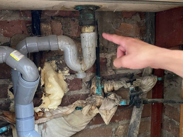 Best Water damage cleanup near me  in Golden Hills, CA